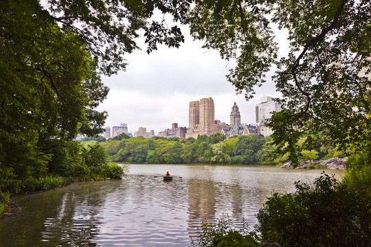 紐約市的中央公園，有樹和摩天大樓，有雨的湖