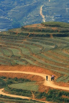 旅行者和苗族村民走在曲線的泥土路和槳稻田薩帕