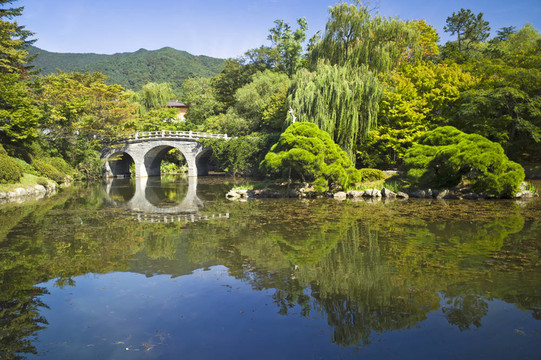 美麗的花園