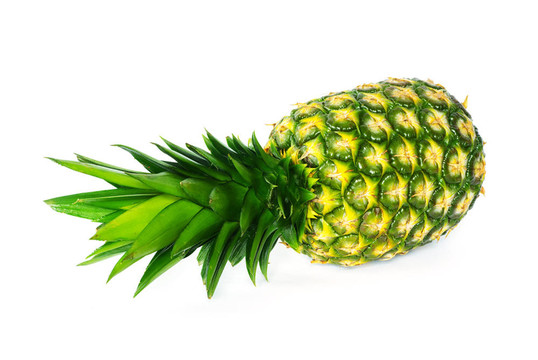菠蘿