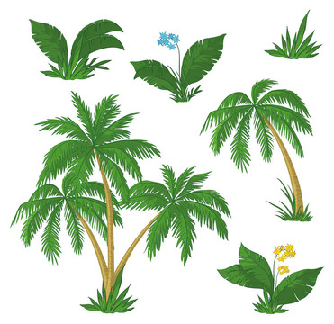 棕櫚樹；花和草