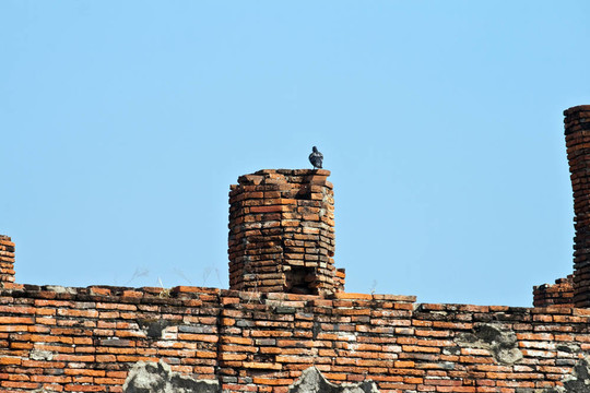 著名的寺Wat Phra Si sanphet；在Ajutthaya皇家宮殿