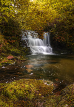 瀑布流经秋季秋季森林景观