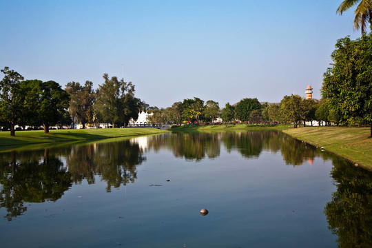 椰子在公園的湖里游泳