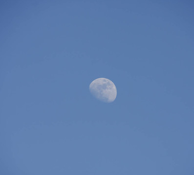 Moon在黃昏的天空