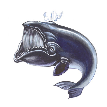 鯨魚
