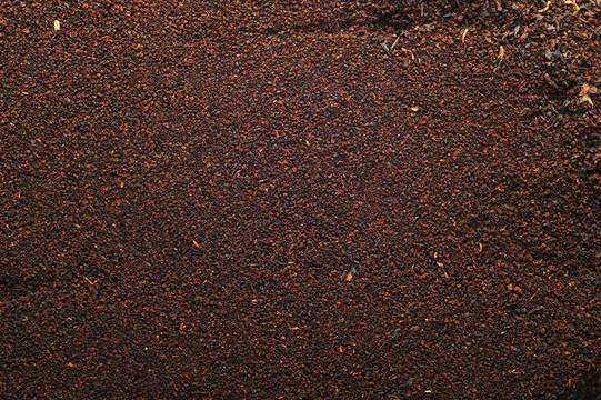 紅茶