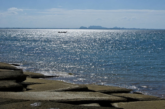 蘇珊海貝殼化石海灘墓地