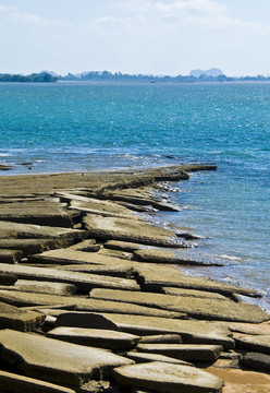 蘇珊海貝殼化石海灘墓地