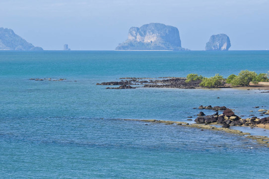 蘇珊海貝殼化石海灘墓地