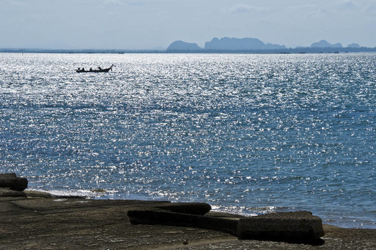 蘇珊海貝殼化石海灘墓地