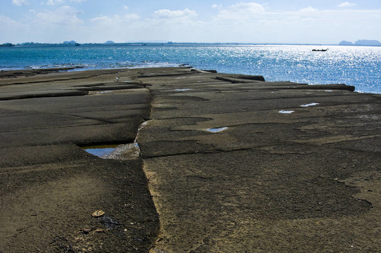 蘇珊海貝殼化石海灘墓地