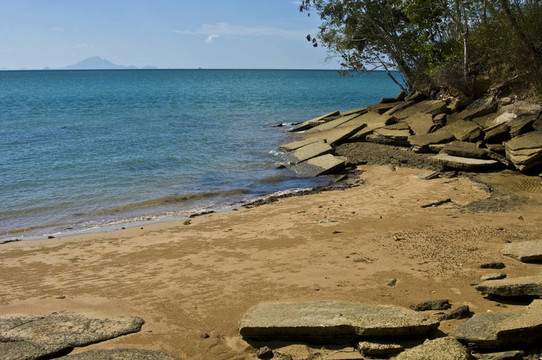 蘇珊海貝殼化石海灘墓地