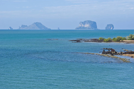 蘇珊海貝殼化石海灘墓地