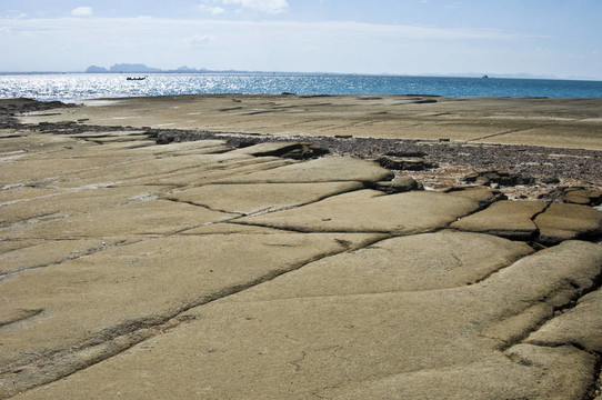 蘇珊海貝殼化石海灘墓地