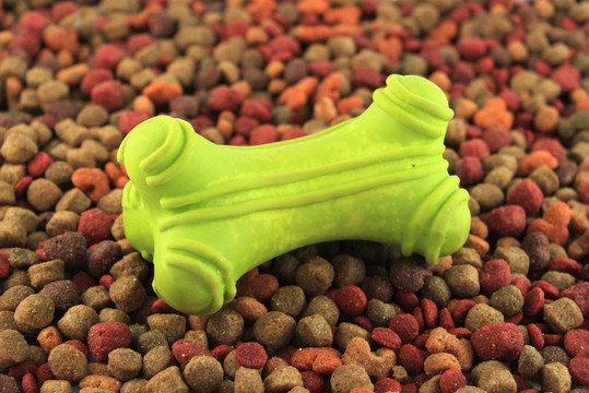 狗食與骨的背景