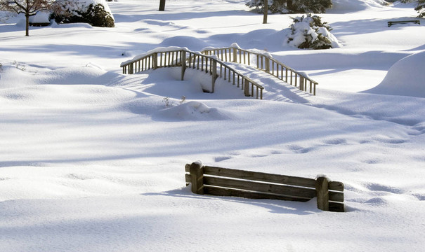 雪地公園里的冬天