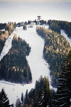 Skipiste（39）.jpg