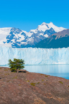 Perito Moreno Glacier；巴塔哥尼亞；阿根廷