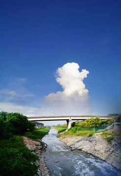 生動的風(fēng)景