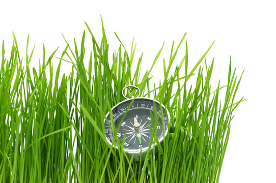 綠草中的指南針