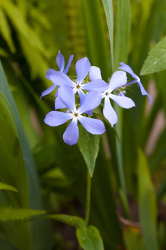 花木場(chǎng)