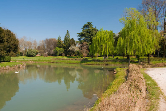 綠色的自然公園