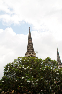 在Wat chaiwattanaram寺塔；Ayutthaya；泰國