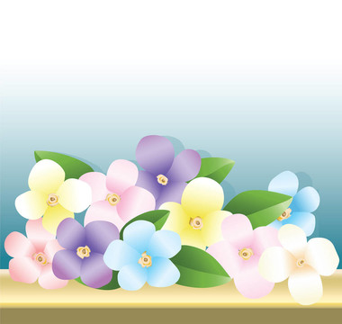 桌上的一束花