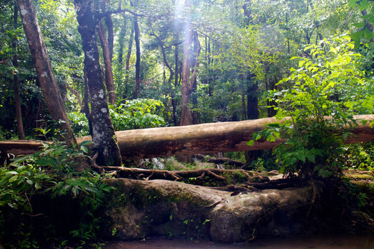 Erawan Waterfall；Kanchanaburi；泰國(guó)