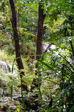 Erawan Waterfall；Kanchanaburi；泰國