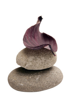 秋天的樹葉在兩Peebles