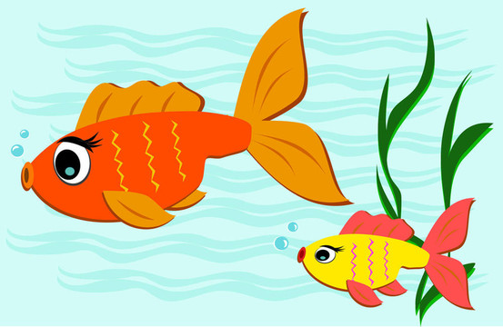兩條金魚游泳