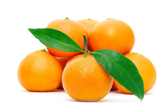 Tangerine夜店