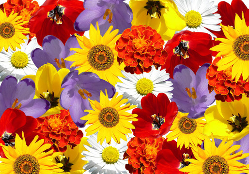 Flowers的背景