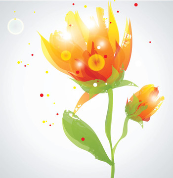 透明的花