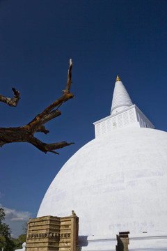 Mirisavetiya Stupa；阿努拉德普勒；斯里蘭卡