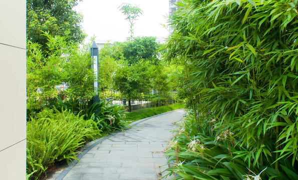 寧?kù)o的花園走道