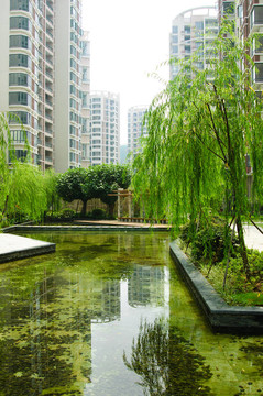 新小區(qū)中心花園