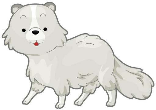 北極狐