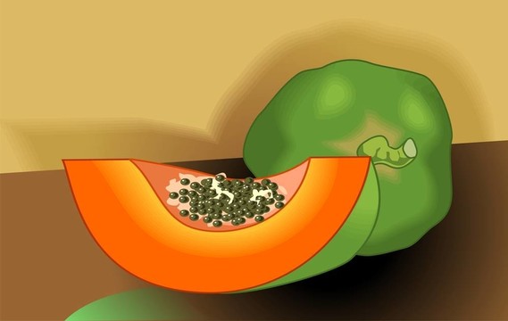 番木瓜