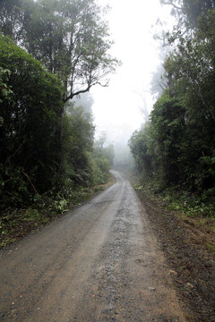 路
