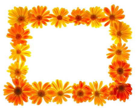 花框