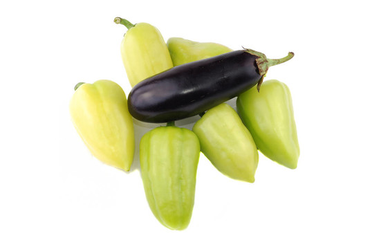 蔬菜