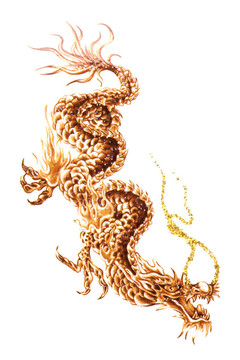 龍紋身宏隔離