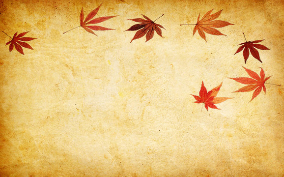 摘要垃圾秋天背景的葉子