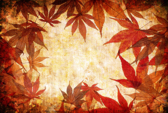摘要垃圾秋天背景的葉子