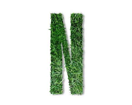 n