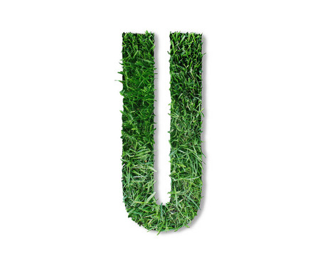 u