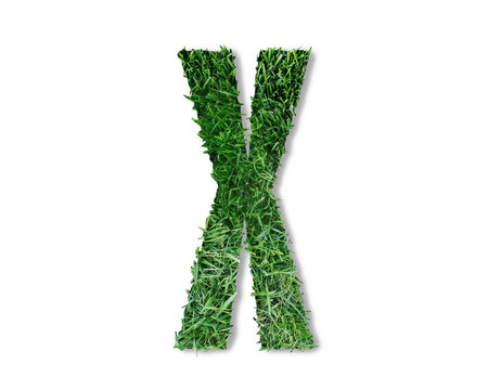 X